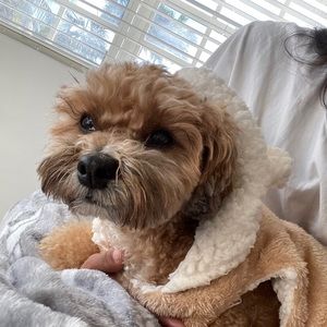 Meet your Posher, Alison